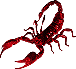 Scorpion PNG-12128
